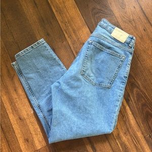 Everlane Curvy Cheeky Crop Jean